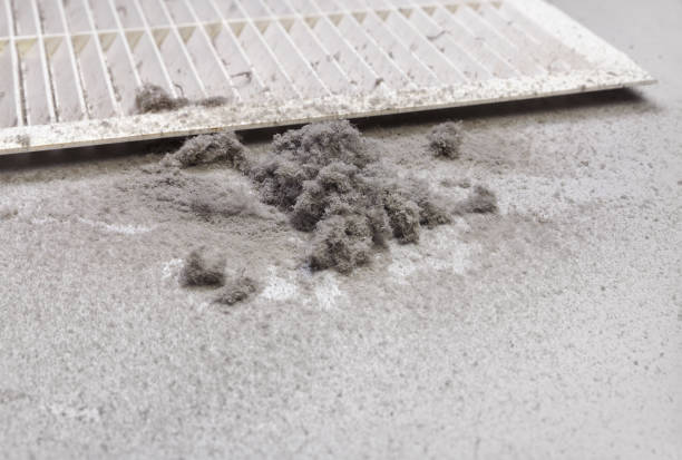 Best Residential Air Duct Cleaning  in Marion Oaks, FL