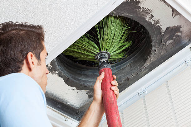 Air Duct Mold Removal in Marion Oaks, FL
